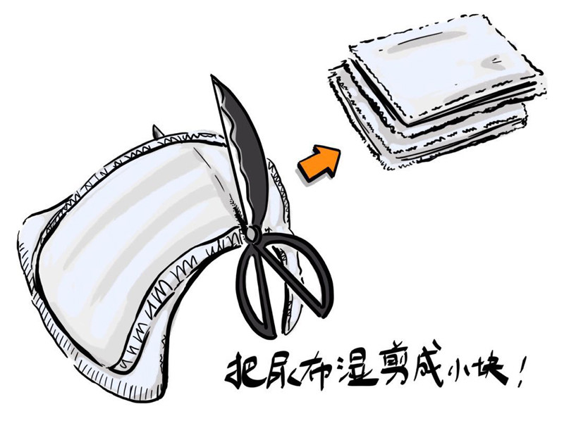 猫头鹰睡不着 屎的问题 第23页