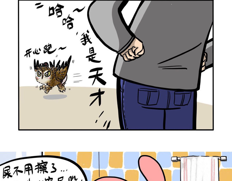猫头鹰睡不着 屎的问题 第26页