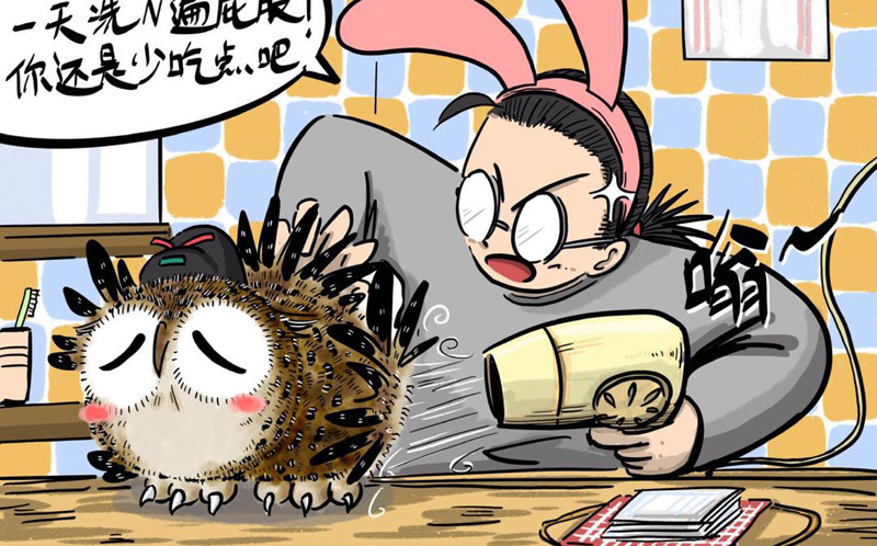 猫头鹰睡不着 屎的问题 第27页