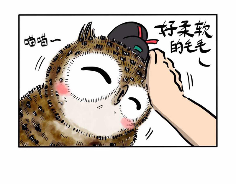 猫头鹰睡不着 屎的问题 第29页
