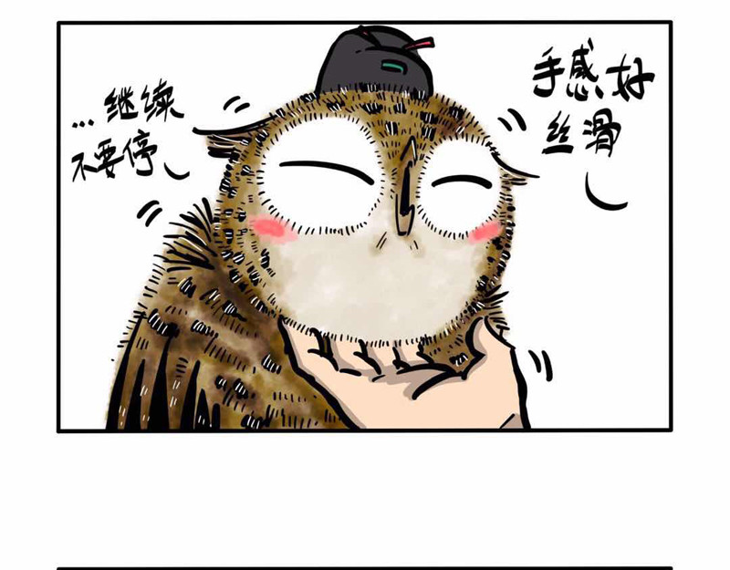 猫头鹰睡不着 屎的问题 第30页