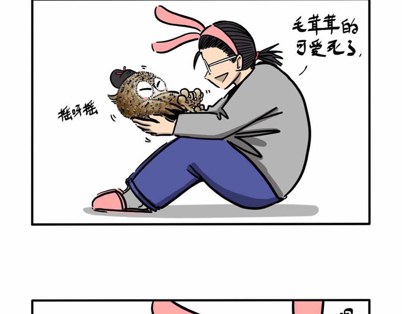 猫头鹰睡不着 屎的问题 第31页