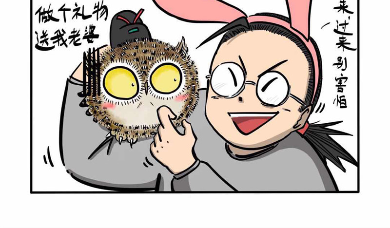 猫头鹰睡不着 屎的问题 第33页
