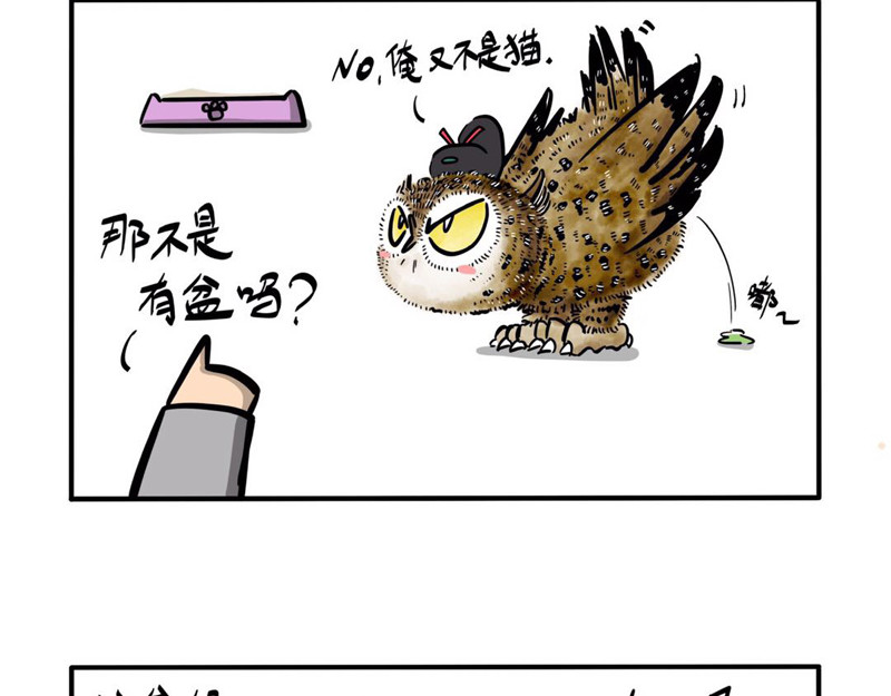 猫头鹰睡不着 屎的问题 第6页