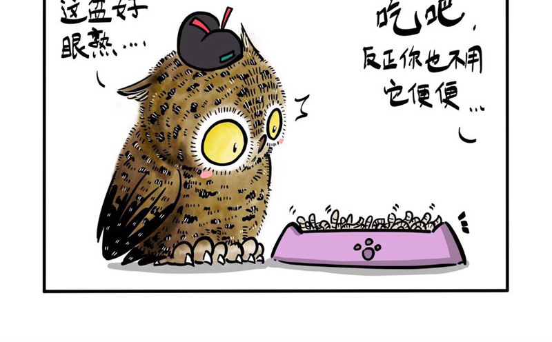 猫头鹰睡不着 屎的问题 第7页