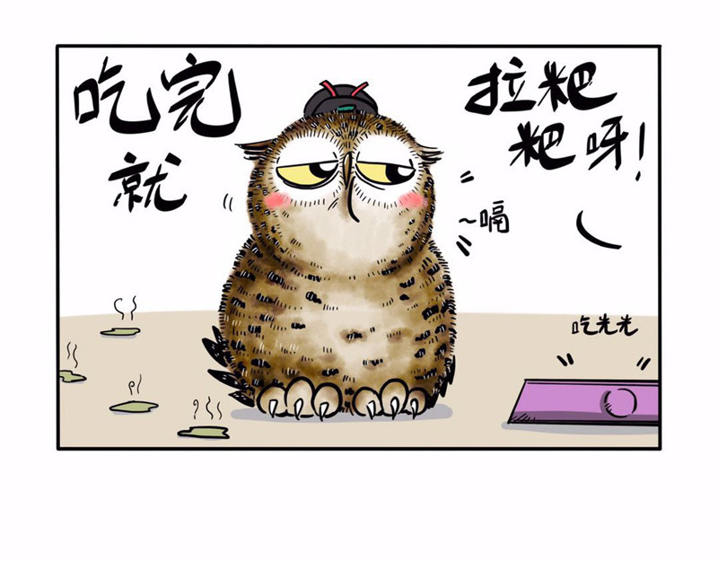 猫头鹰睡不着 屎的问题 第9页