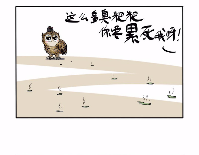 猫头鹰睡不着 屎的问题 第10页