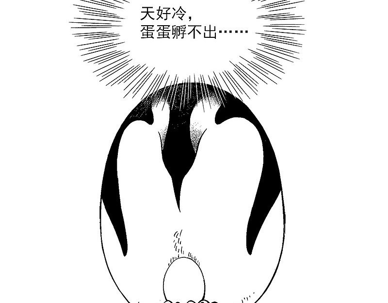 快把动物放进冰箱 第4页