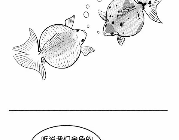 快把动物放进冰箱 004 第4页