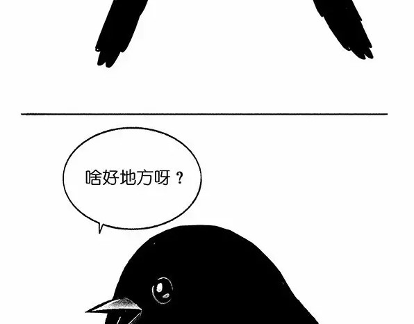 快把动物放进冰箱 005游湖 第14页