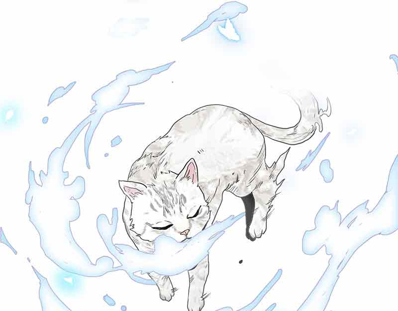 她是猫 第1页
