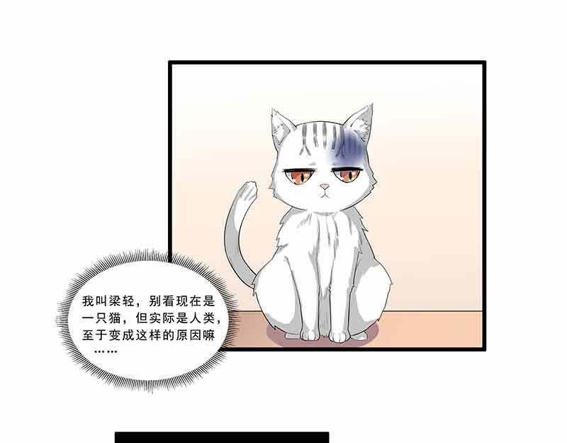她是猫 1 阿拉丁之猫的报恩 第14页