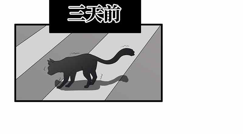 她是猫 1 阿拉丁之猫的报恩 第15页