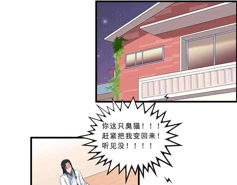 她是猫 第3页