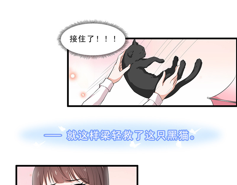 她是猫 1 阿拉丁之猫的报恩 第27页