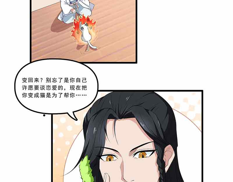 她是猫 第4页