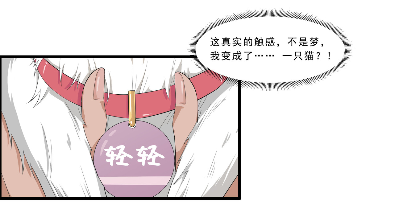她是猫 1 阿拉丁之猫的报恩 第47页