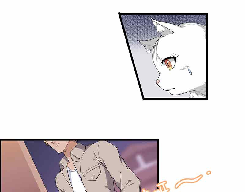 她是猫 第6页