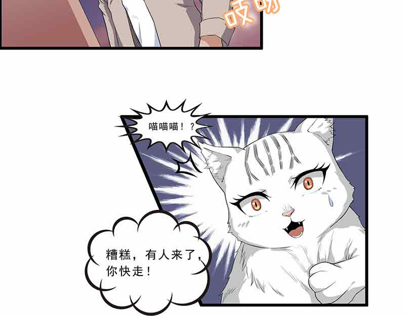 她是猫 第7页