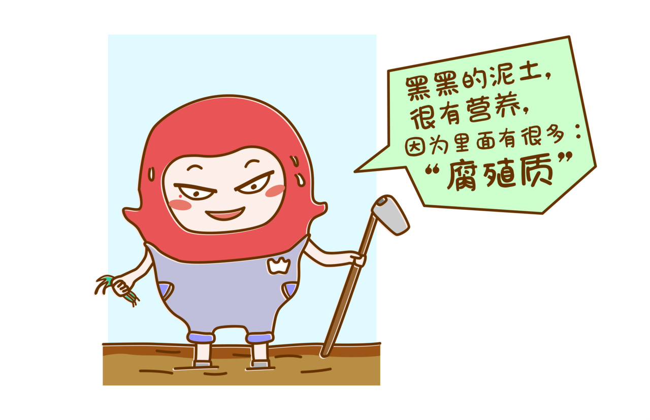 全家微生物 摘草莓，摘出“全家微生物” 第13页