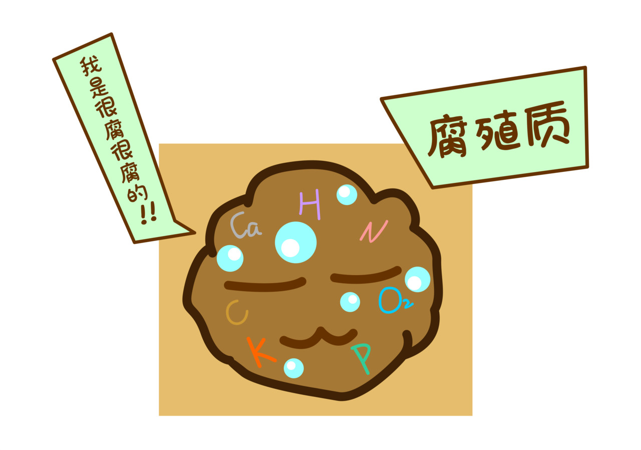 全家微生物 摘草莓，摘出“全家微生物” 第14页