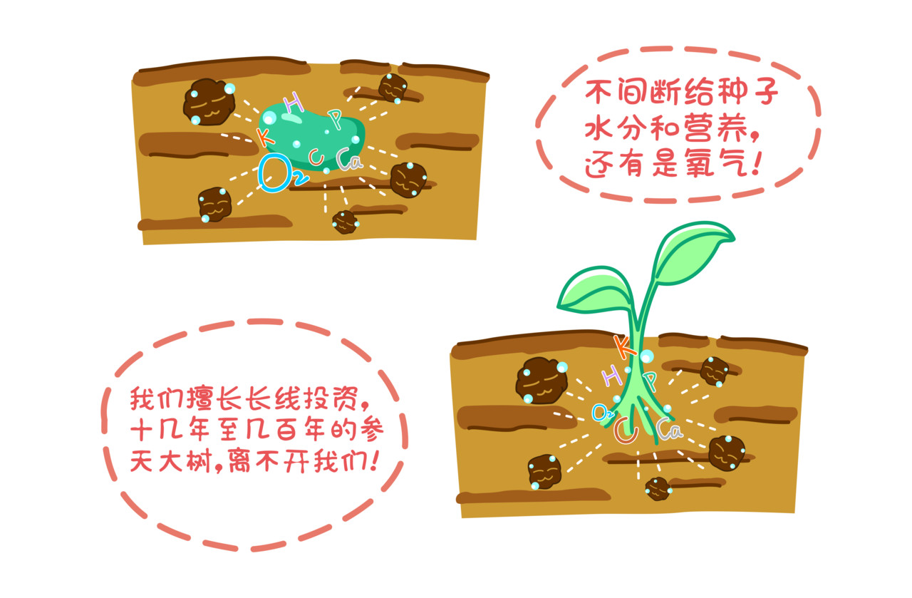 全家微生物 摘草莓，摘出“全家微生物” 第19页