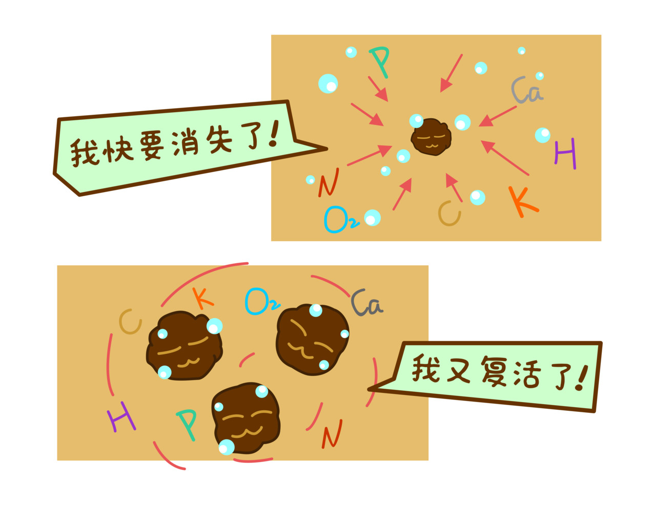 全家微生物 摘草莓，摘出“全家微生物” 第26页