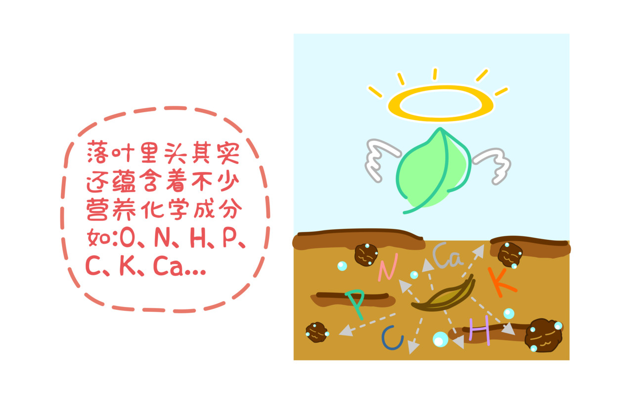 全家微生物 摘草莓，摘出“全家微生物” 第29页