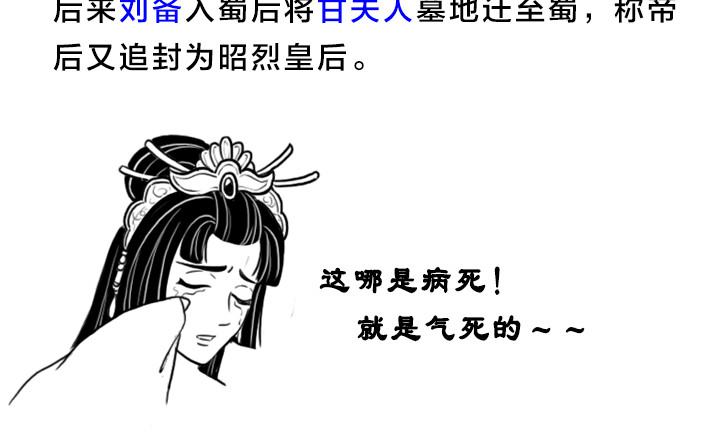 三国杀里的故事 欲黑刘备，先从妻妾开始 第8页