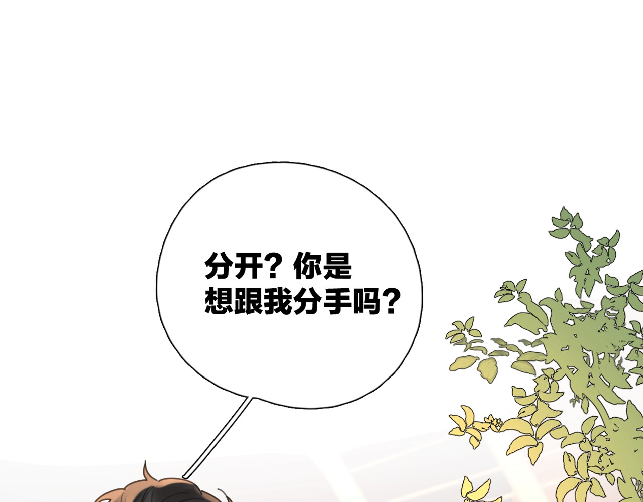 爱情的样子：心之所向 剧情序章：爱情初学者 第40页