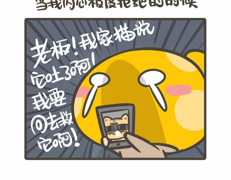 侬脑子进菇了 第2页