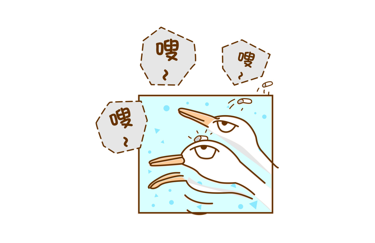 全家微生物 微生物来解答人生终极三问 第13页