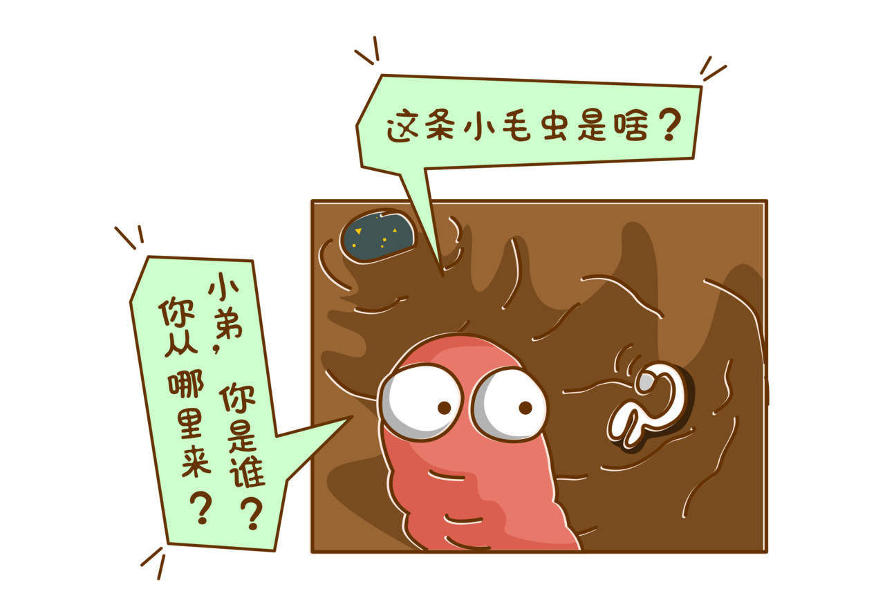 全家微生物 微生物来解答人生终极三问 第49页