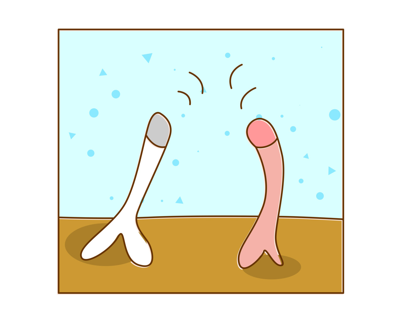 全家微生物 微生物来解答人生终极三问 第62页