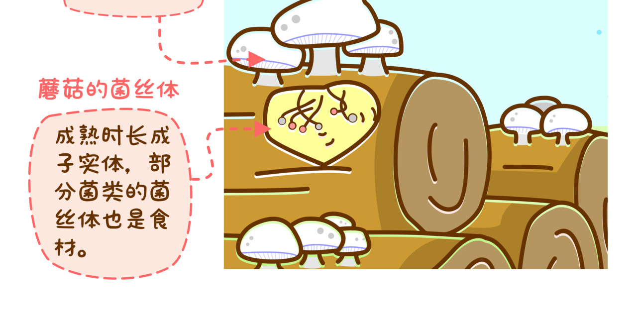 全家微生物 微生物来解答人生终极三问 第81页