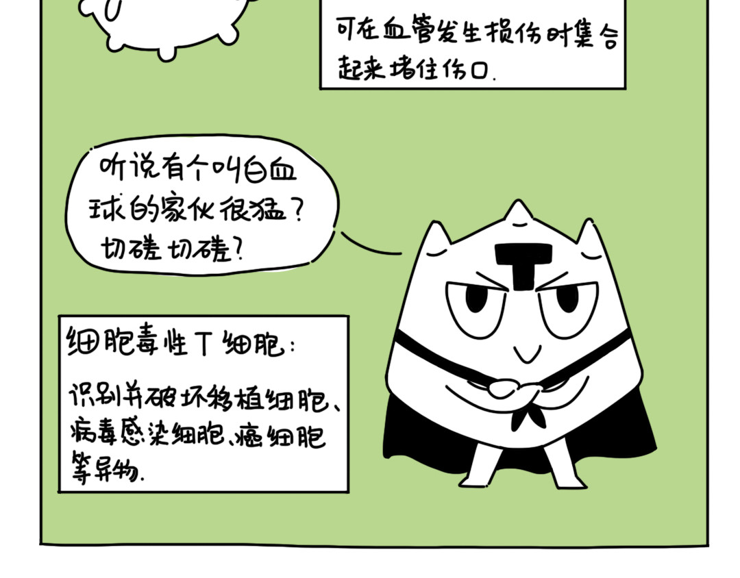 脐酱漫游记 第6页