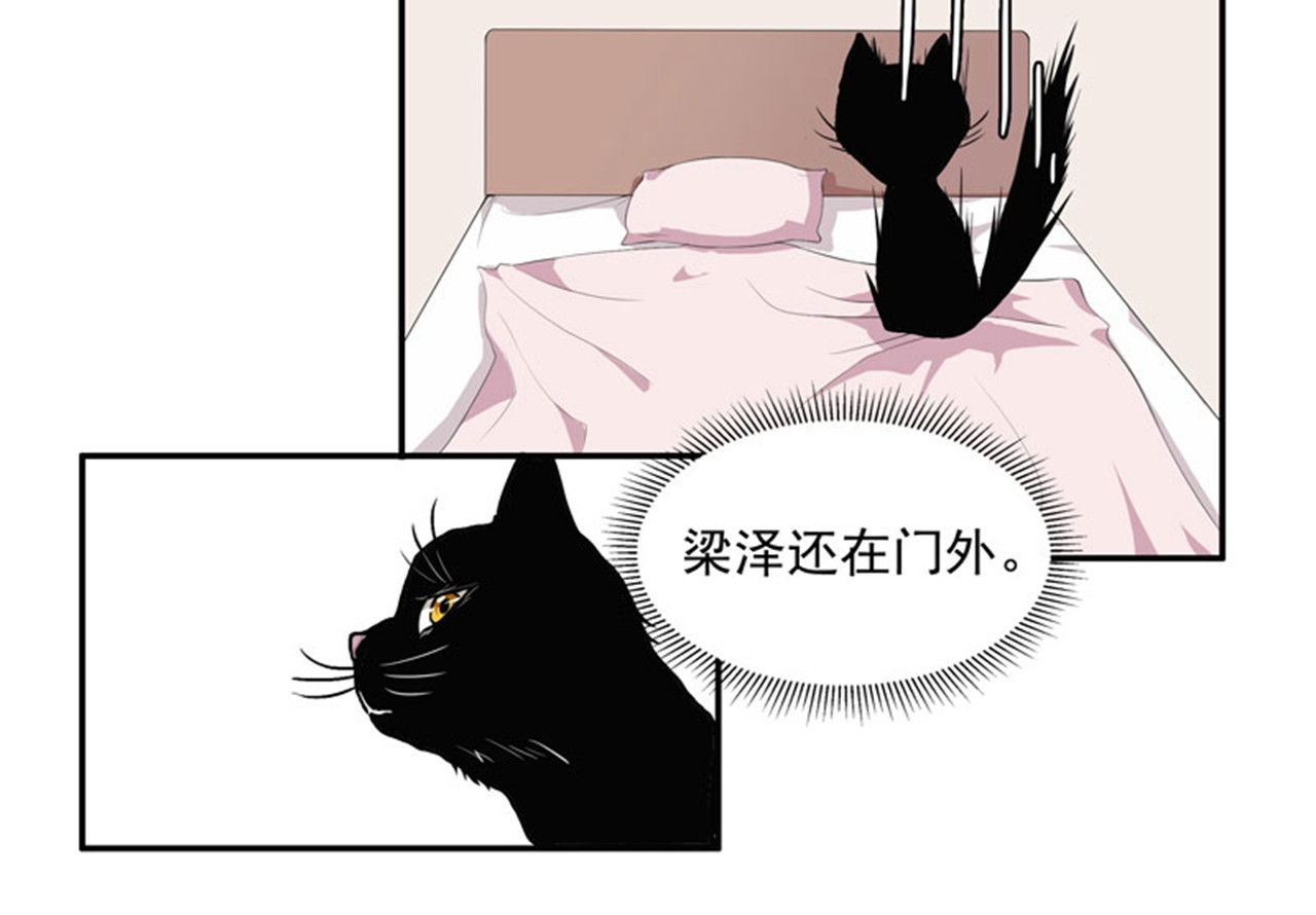 她是猫 5 哥哥知道什么？ 第28页