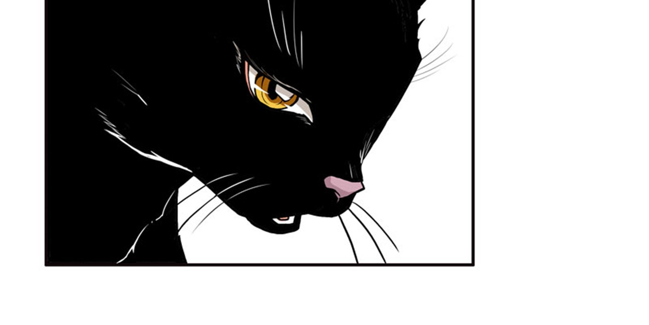 她是猫 5 哥哥知道什么？ 第10页