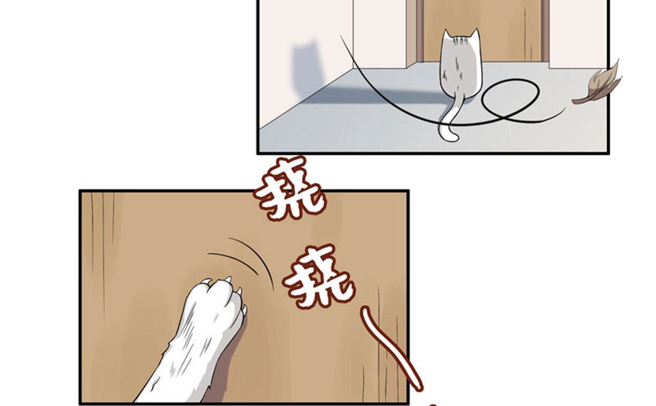 她是猫 6 这是只有想法的猫 第2页