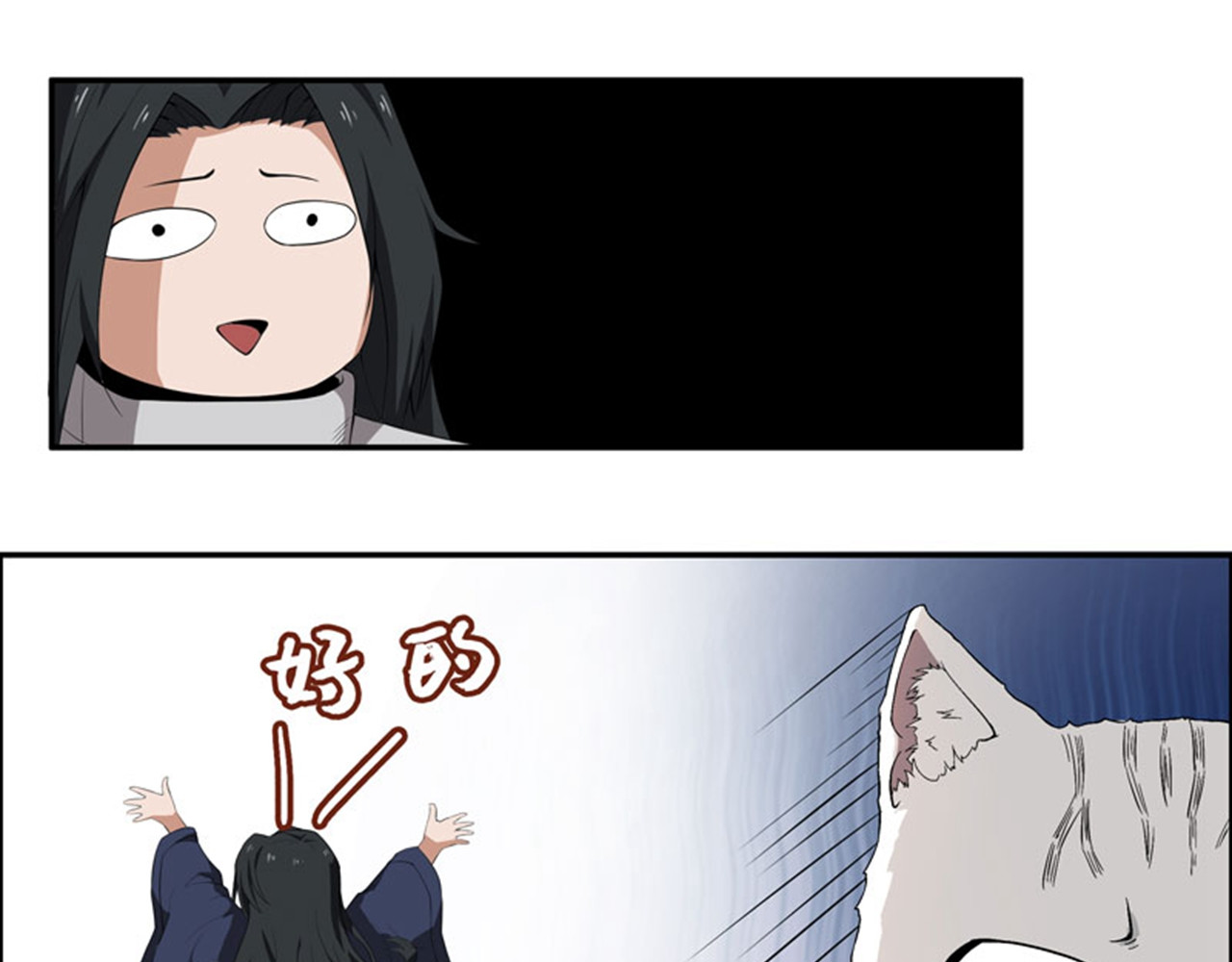 她是猫 6 这是只有想法的猫 第12页