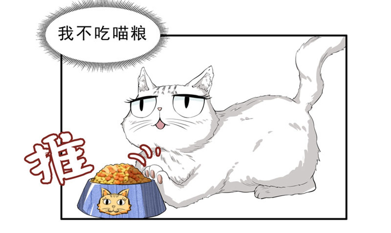 她是猫 6 这是只有想法的猫 第32页