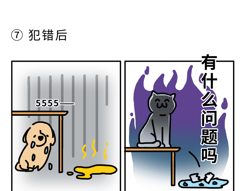 枸杞和伙伴们 狗狗还是猫咪？选一个吧！ 第9页