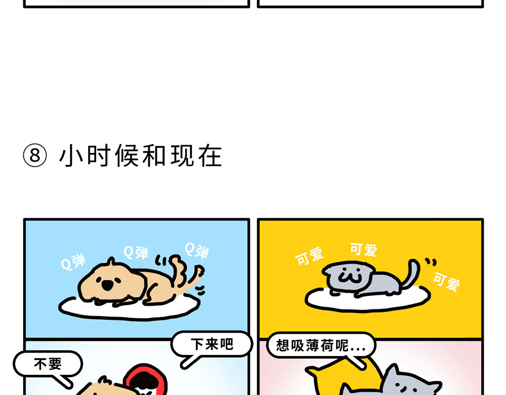枸杞和伙伴们 狗狗还是猫咪？选一个吧！ 第10页