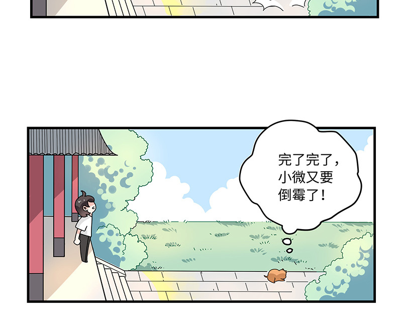 西子路的镇宅兽 第3话 小微不信邪 第7页