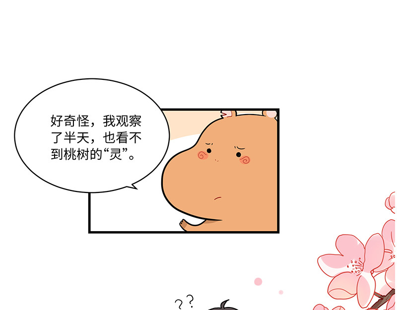 西子路的镇宅兽 第6话 今年桃树不开花 第22页
