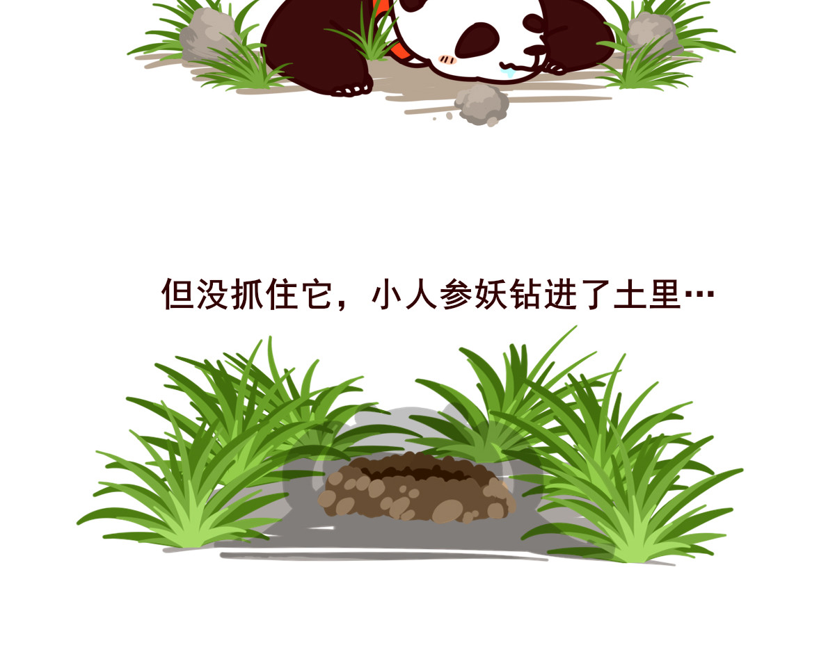 喵庙の那些故事 喵庙第四章 第13页