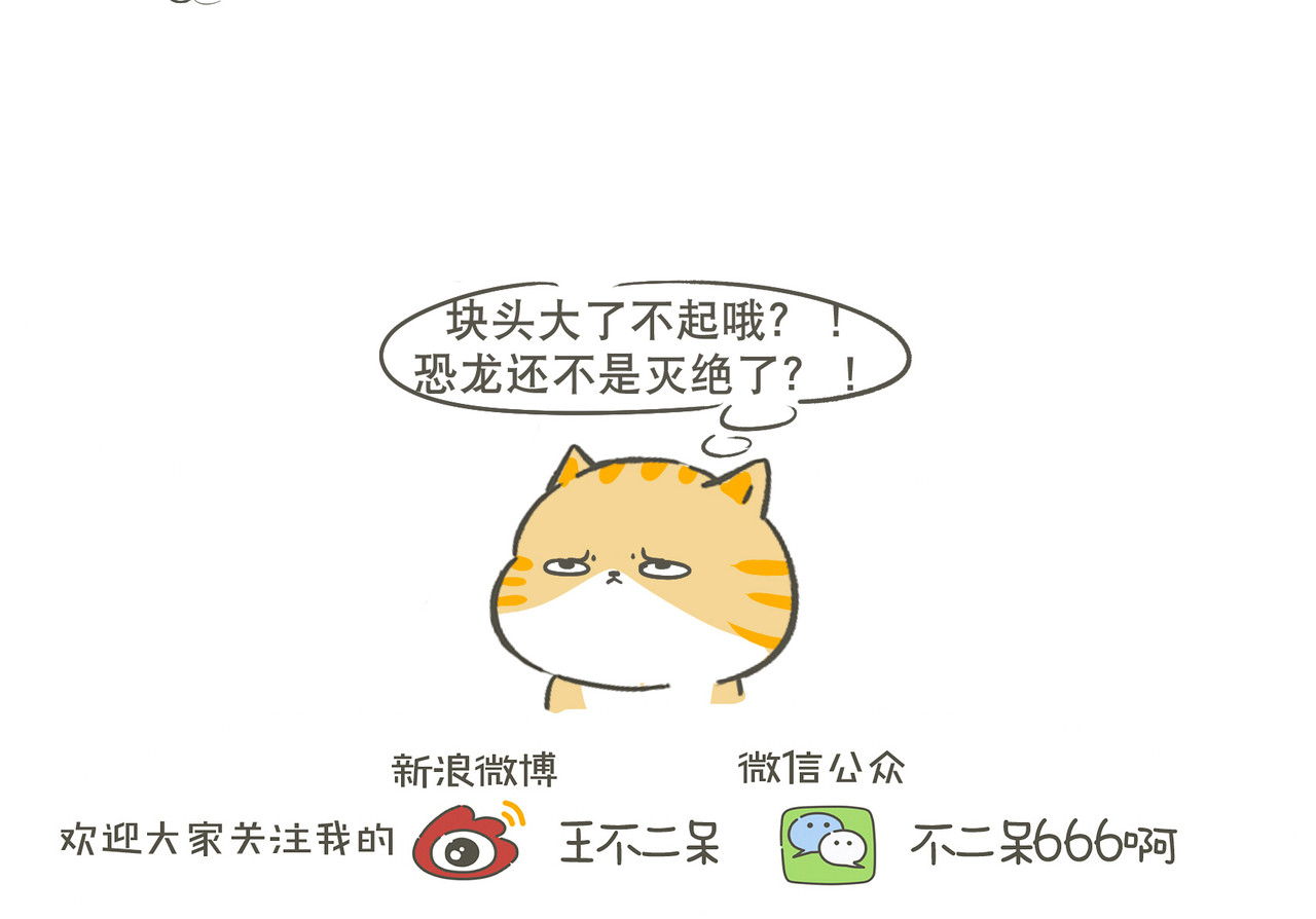 我们只是小猫咪 狭路相逢 第5页