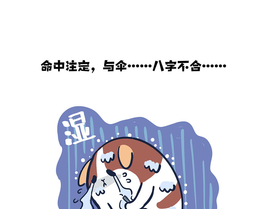  动物大涩会 大夏天的糟心事儿（上） 第12页
