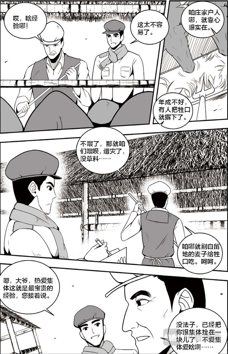 焦裕禄 第五章 园艺厂的泡桐专家 第4页