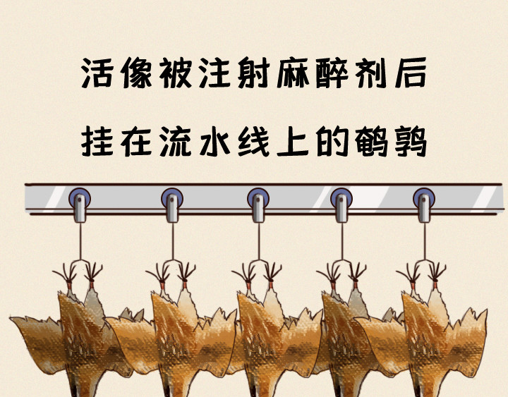 布洛分制造局 第7页